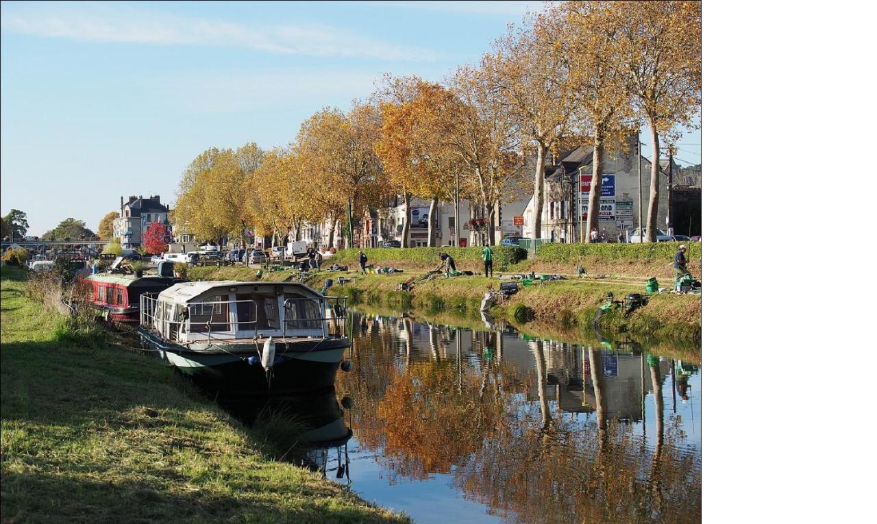 Spacieux T3 Lumineux Dans Quartier Historique Avec Wifi เรอดง ภายนอก รูปภาพ